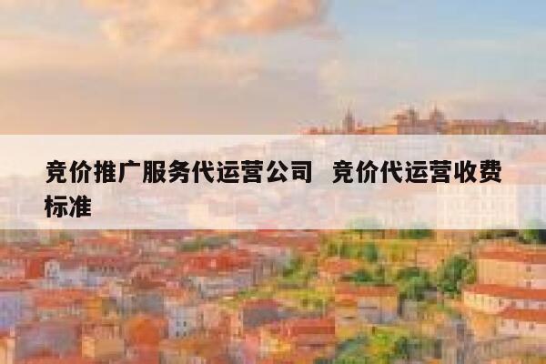 竞价推广服务代运营公司  竞价代运营收费标准