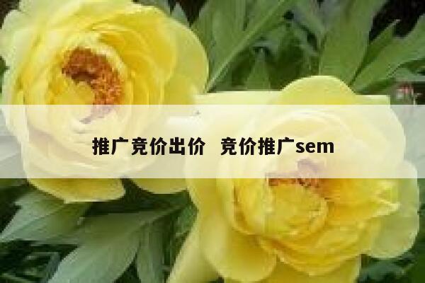 推广竞价出价  竞价推广sem