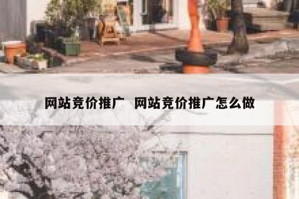 网站竞价推广  网站竞价推广怎么做