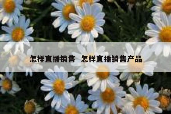怎样直播销售  怎样直播销售产品