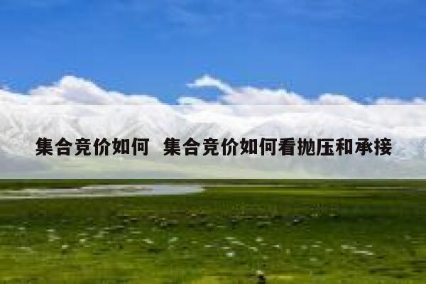 集合竞价如何  集合竞价如何看抛压和承接