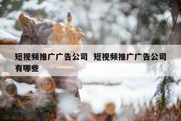短视频推广广告公司  短视频推广广告公司有哪些
