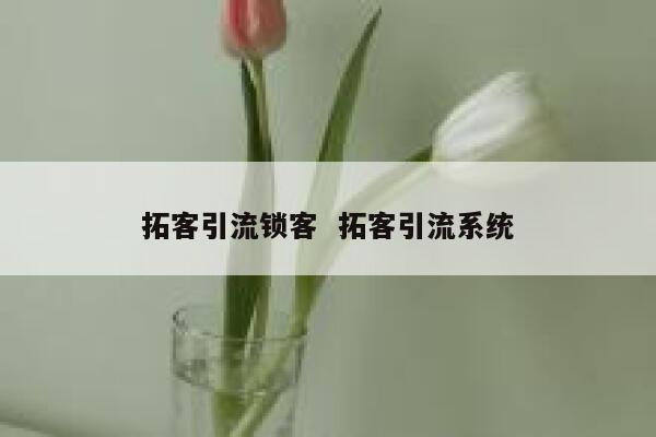 拓客引流锁客 拓客引流系统