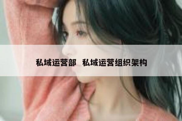 私域运营部  私域运营组织架构