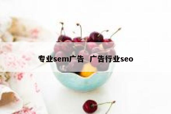 专业sem广告  广告行业seo