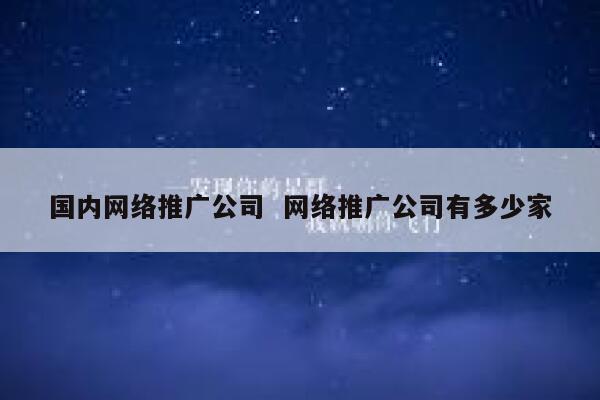 国内网络推广公司  网络推广公司有多少家