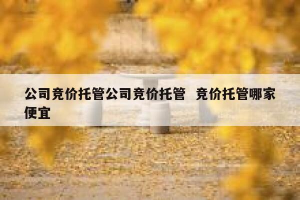 公司竞价托管公司竞价托管  竞价托管哪家便宜