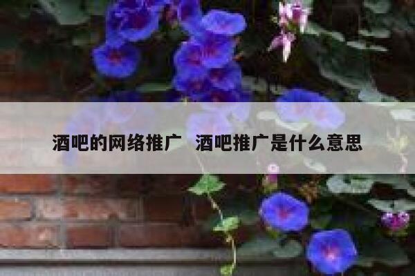 酒吧的网络推广  酒吧推广是什么意思