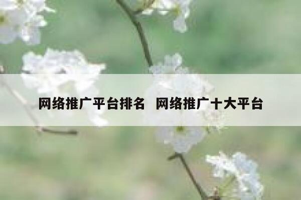 网络推广平台排名  网络推广十大平台