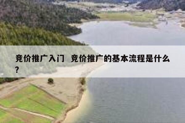 竞价推广入门  竞价推广的基本流程是什么?