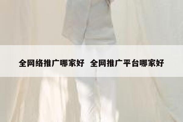 全网络推广哪家好  全网推广平台哪家好