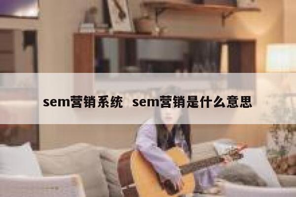 sem营销系统  sem营销是什么意思