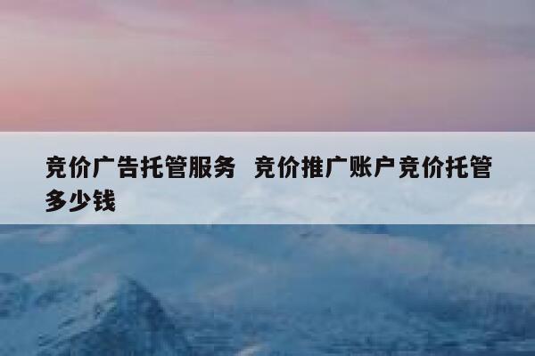 竞价广告托管服务  竞价推广账户竞价托管多少钱