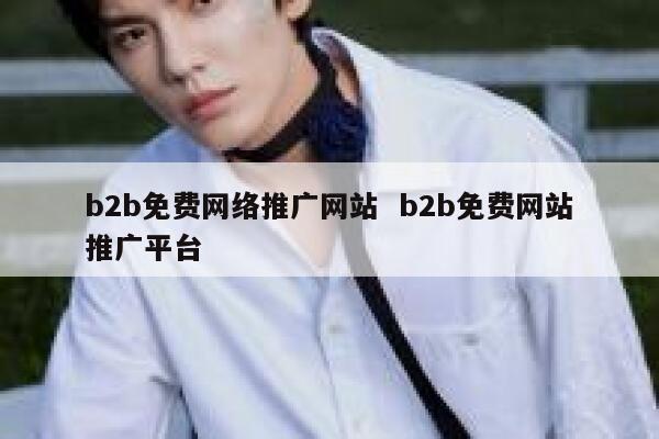 b2b免费网络推广网站  b2b免费网站推广平台