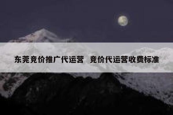 东莞竞价推广代运营  竞价代运营收费标准