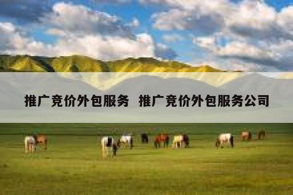 推广竞价外包服务  推广竞价外包服务公司