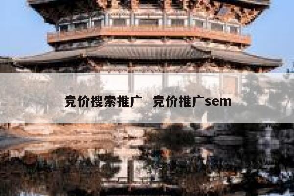 竞价搜索推广  竞价推广sem