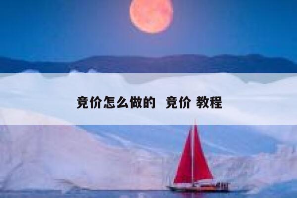竞价怎么做的  竞价 教程