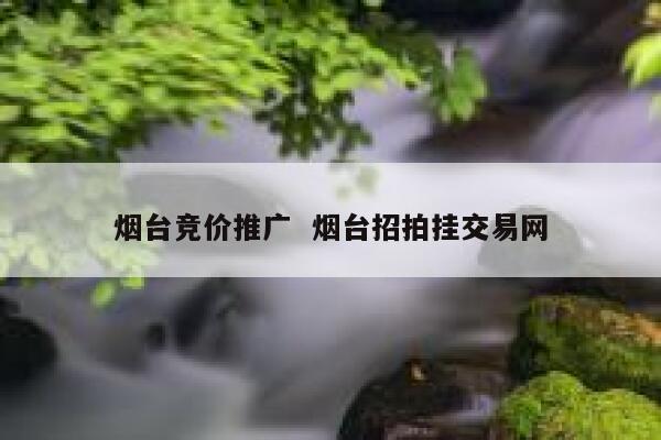 烟台竞价推广  烟台招拍挂交易网