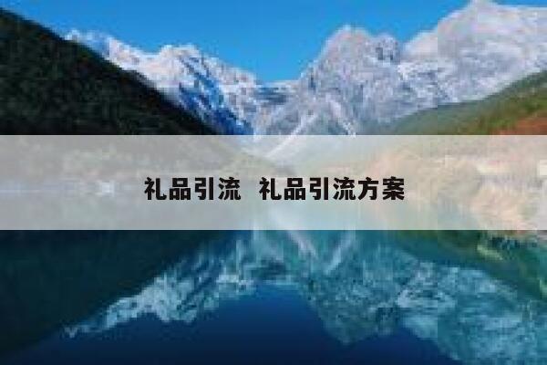 礼品引流  礼品引流方案