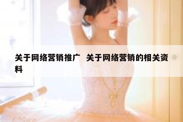关于网络营销推广  关于网络营销的相关资料