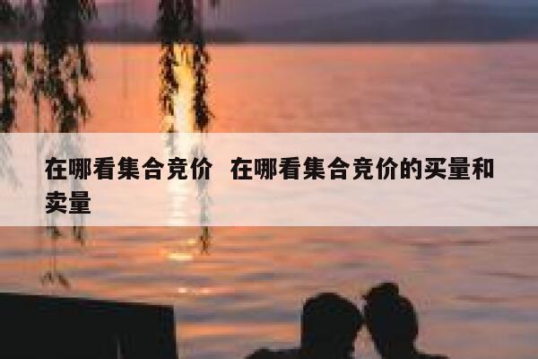 在哪看集合竞价  在哪看集合竞价的买量和卖量