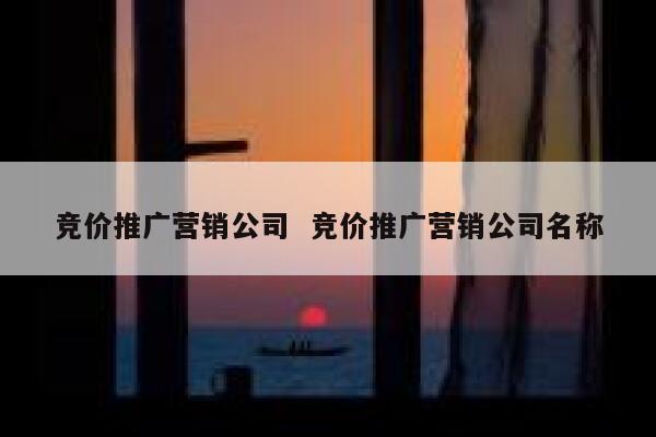 竞价推广营销公司  竞价推广营销公司名称