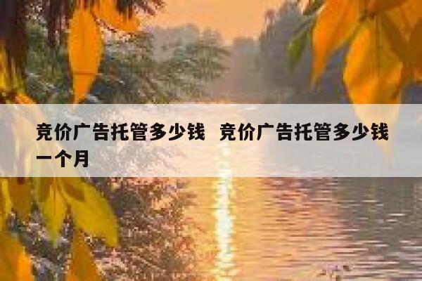 竞价广告托管多少钱  竞价广告托管多少钱一个月