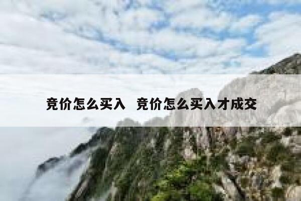 竞价怎么买入  竞价怎么买入才成交
