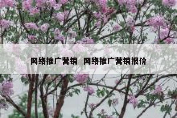 网络推广营销  网络推广营销报价