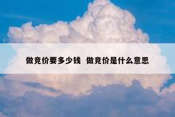 做竞价要多少钱  做竞价是什么意思