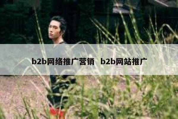 b2b网络推广营销  b2b网站推广 第1张