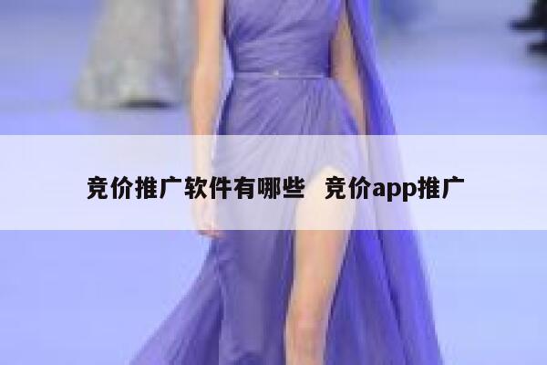 竞价推广软件有哪些  竞价app推广