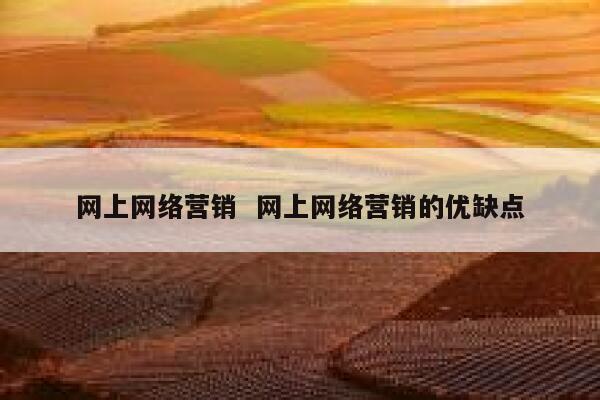 网上网络营销  网上网络营销的优缺点