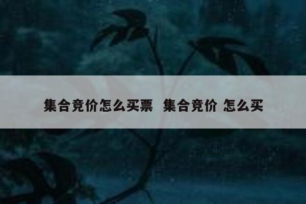 集合竞价怎么买票  集合竞价 怎么买