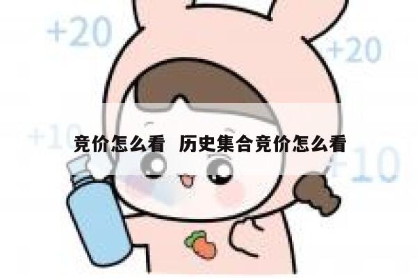 竞价怎么看  历史集合竞价怎么看