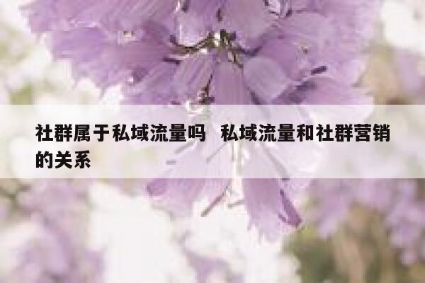 社群属于私域流量吗  私域流量和社群营销的关系