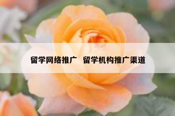 留学网络推广  留学机构推广渠道