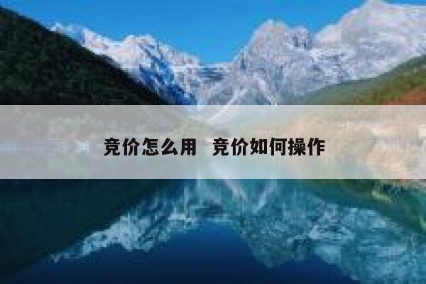 竞价怎么用  竞价如何操作
