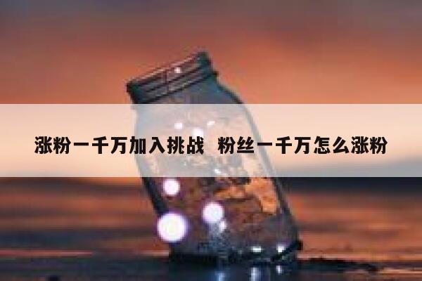 涨粉一千万加入挑战  粉丝一千万怎么涨粉