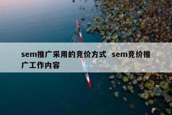 sem推广采用的竞价方式  sem竞价推广工作内容