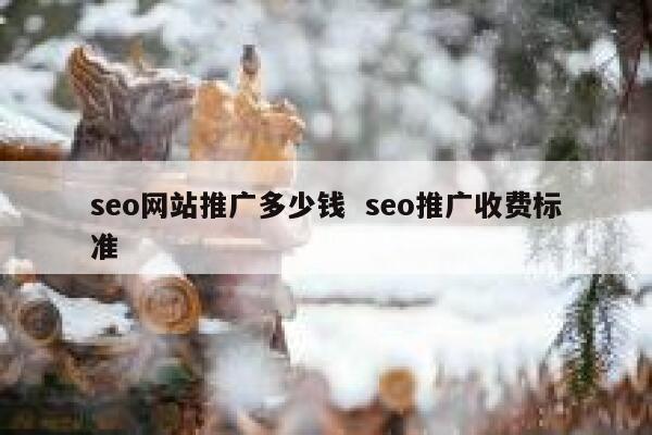 seo网站推广多少钱  seo推广收费标准