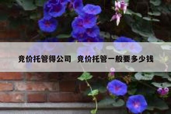 竞价托管得公司  竞价托管一般要多少钱