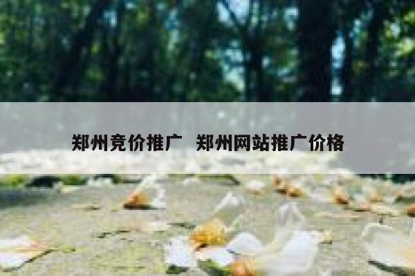 郑州竞价推广  郑州网站推广价格