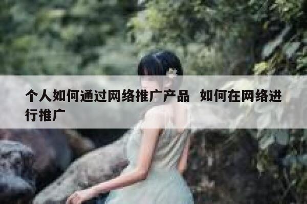 个人如何通过网络推广产品  如何在网络进行推广