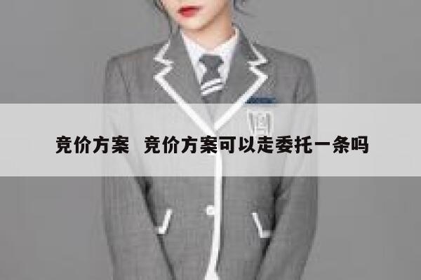 竞价方案  竞价方案可以走委托一条吗 第1张