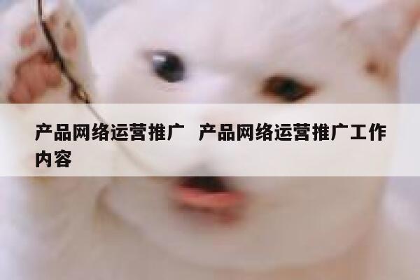 产品网络运营推广  产品网络运营推广工作内容