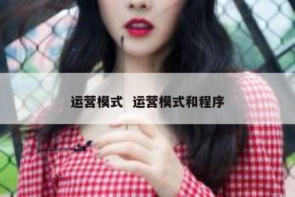 运营模式  运营模式和程序