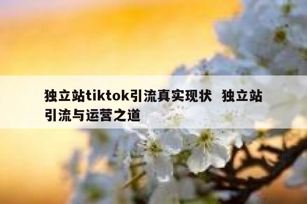 独立站tiktok引流真实现状  独立站引流与运营之道