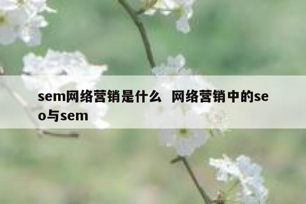 sem网络营销是什么  网络营销中的seo与sem